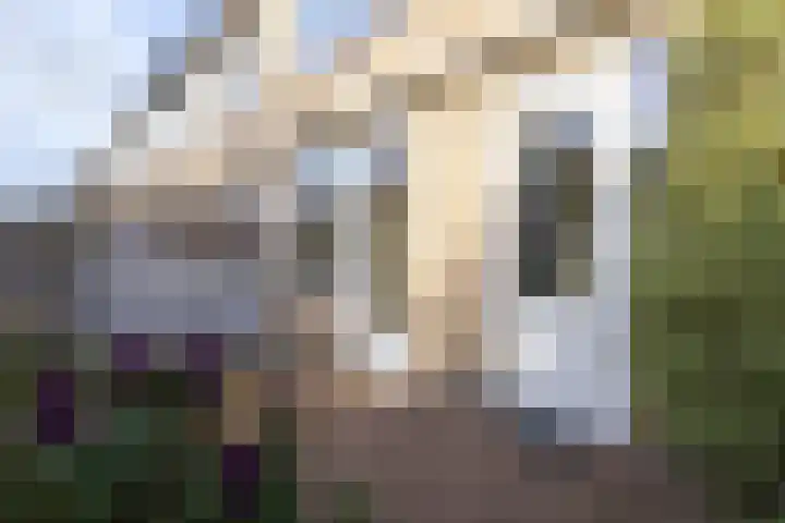 Appelgaard 9 Zwaag thumbnail 42