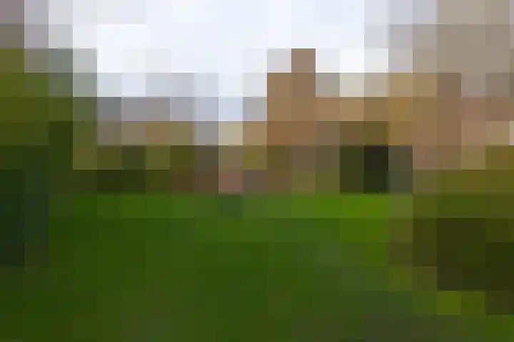 Appelgaard 9 Zwaag thumbnail 43