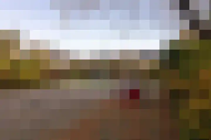 Appelgaard 9 Zwaag thumbnail 45