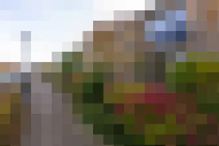 Appelgaard 9 Zwaag thumbnail 5