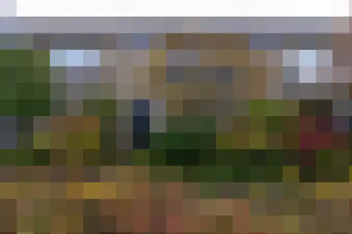 Appelgaard 9 Zwaag thumbnail 6