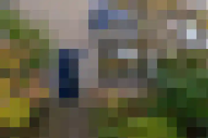 Appelgaard 9 Zwaag thumbnail 7