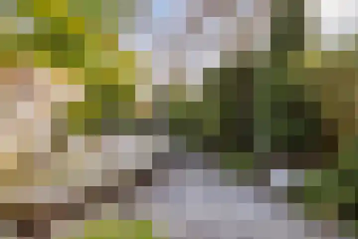 Appelgaarde 111 Voorburg thumbnail 13