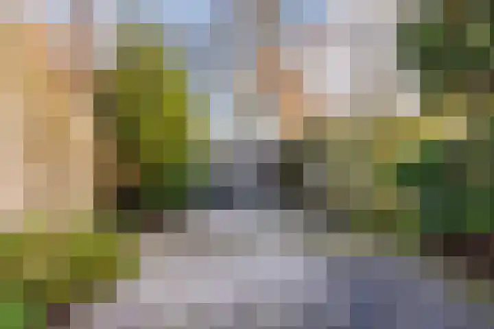 Appelgaarde 111 Voorburg thumbnail 14