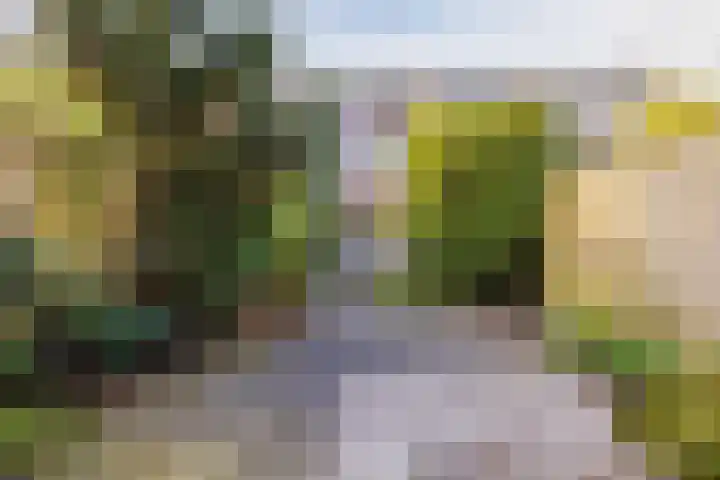 Appelgaarde 111 Voorburg thumbnail 15