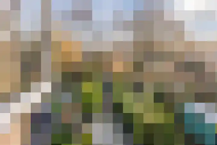 Appelgaarde 111 Voorburg thumbnail 23