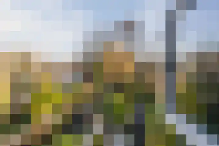 Appelgaarde 111 Voorburg thumbnail 33