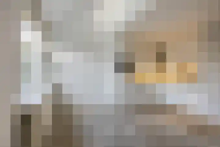 Appelgaarde 111 Voorburg thumbnail 4