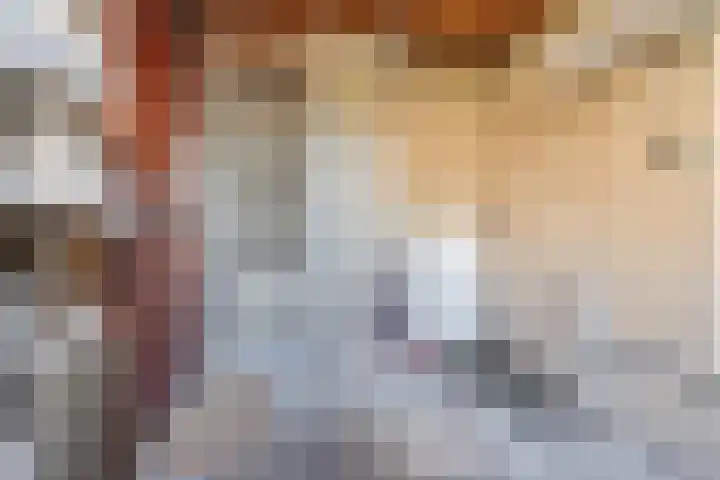 Appelgaarde 111 Voorburg thumbnail 40