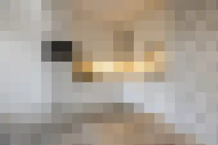 Appelgaarde 111 Voorburg thumbnail 5