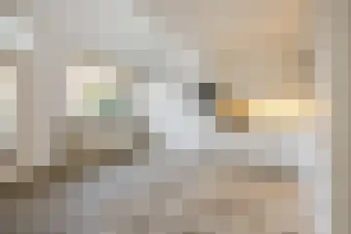 Appelgaarde 111 Voorburg thumbnail 7