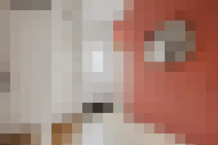 Appelgaarde 13 Houten thumbnail 11