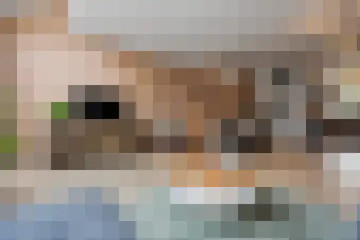Appelgaarde 13 Houten thumbnail 23