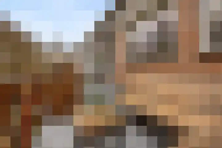 Appelgaarde 13 Houten thumbnail 27