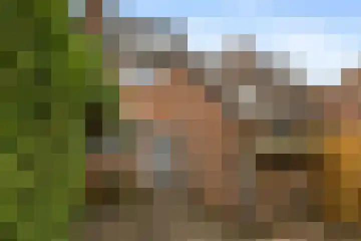 Appelgaarde 13 Houten thumbnail 4