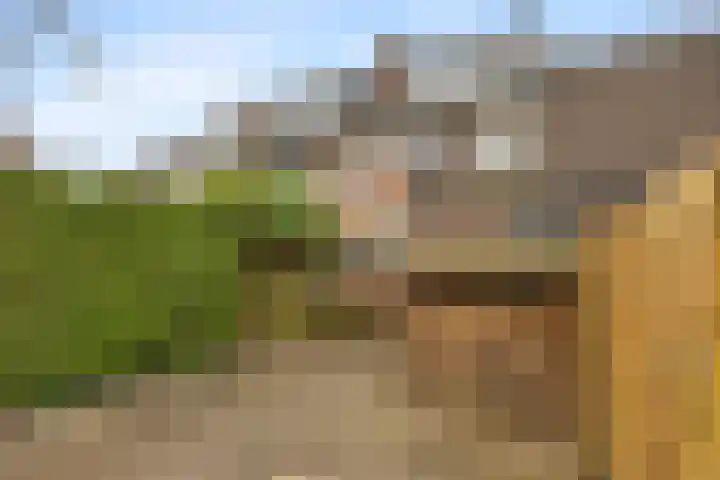 Appelgaarde 13 Houten thumbnail 5