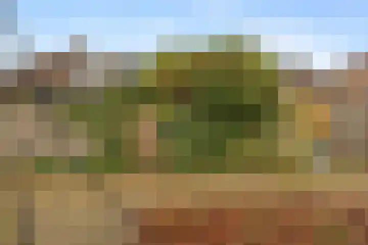 Appelgaarde 13 Houten thumbnail 57