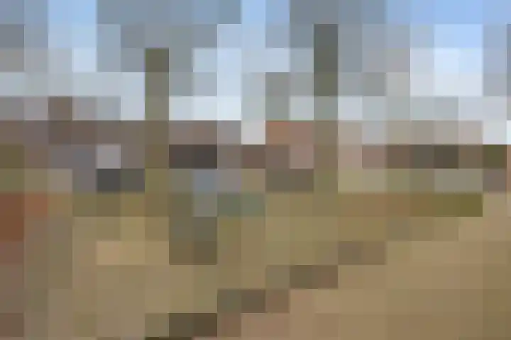 Appelgaarde 13 Houten thumbnail 58