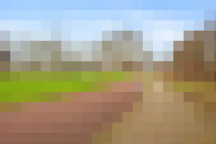 Appelgaarde 13 Houten thumbnail 61