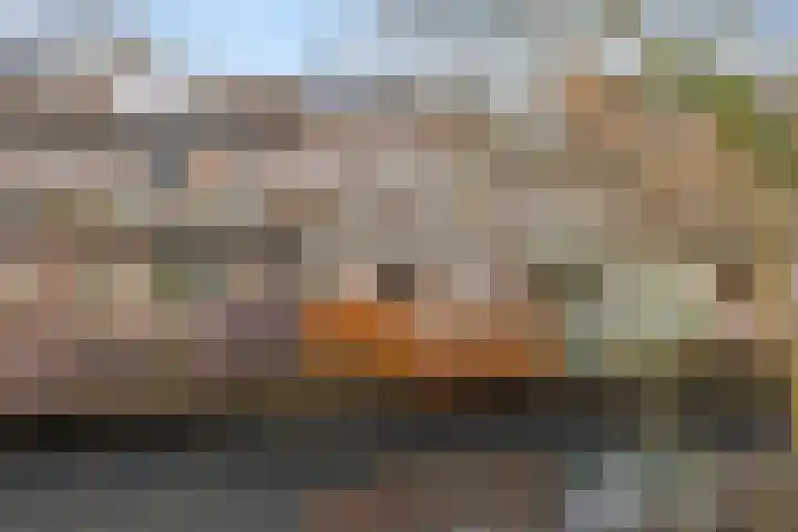 Appelgaarde 13 Houten thumbnail 9
