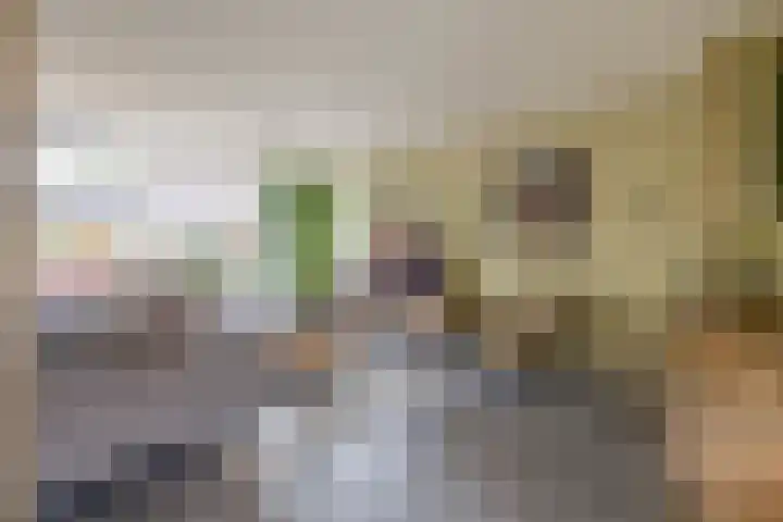 Appelgaarde 13 Rozenburg thumbnail 11