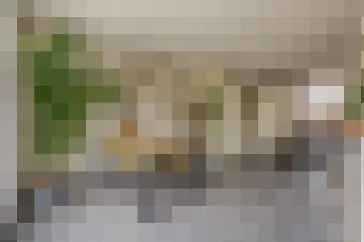 Appelgaarde 13 Rozenburg thumbnail 14
