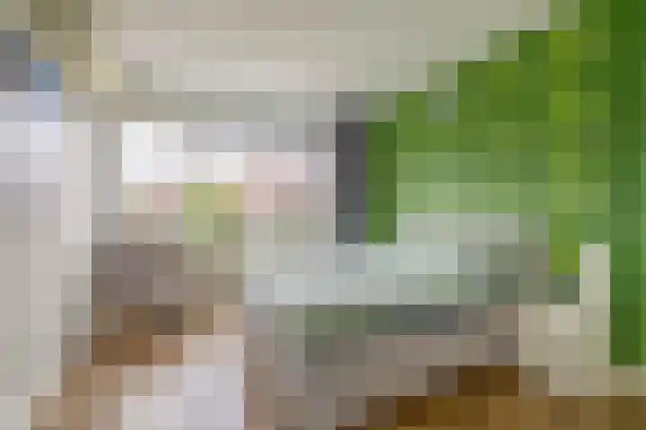 Appelgaarde 13 Rozenburg thumbnail 21