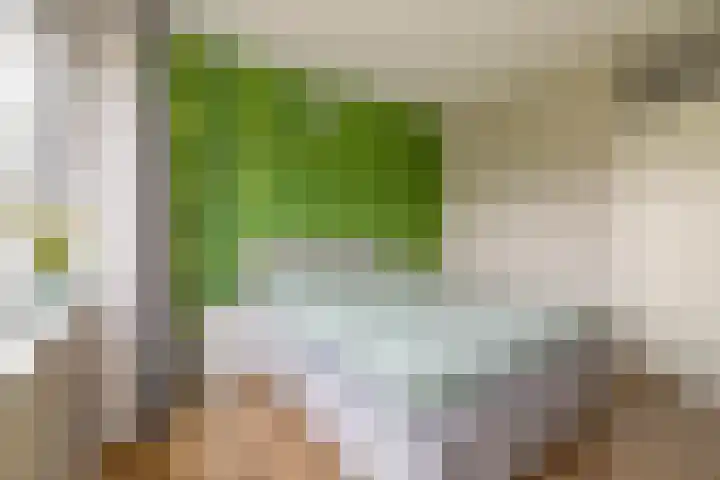 Appelgaarde 13 Rozenburg thumbnail 22