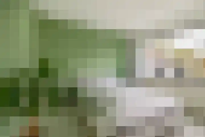 Appelgaarde 13 Rozenburg thumbnail 24