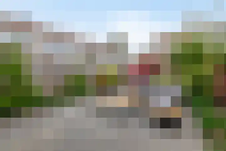Appelgaarde 13 Rozenburg thumbnail 33