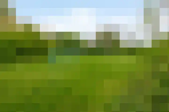Appelgaarde 13 Rozenburg thumbnail 38