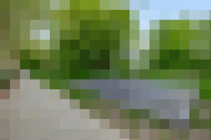 Appelgaarde 13 Rozenburg thumbnail 39