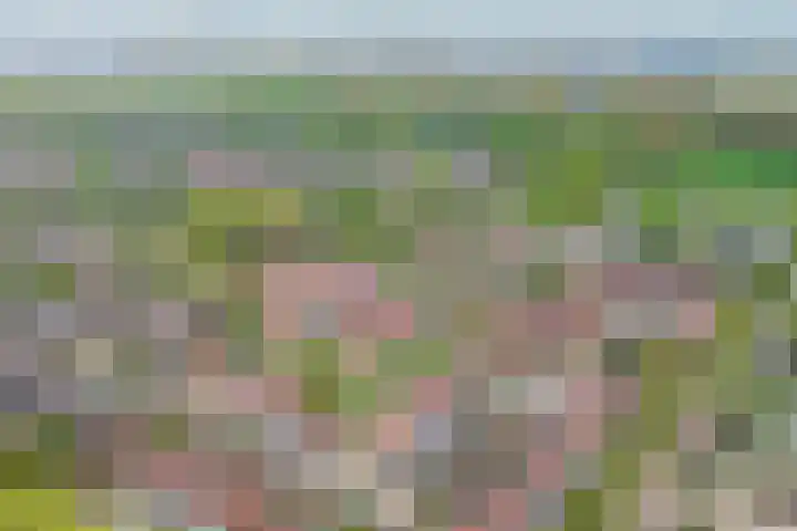 Appelgaarde 13 Rozenburg thumbnail 41