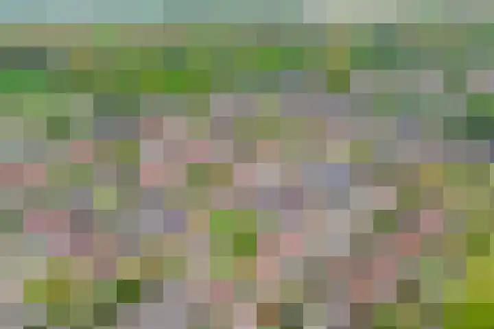 Appelgaarde 13 Rozenburg thumbnail 42