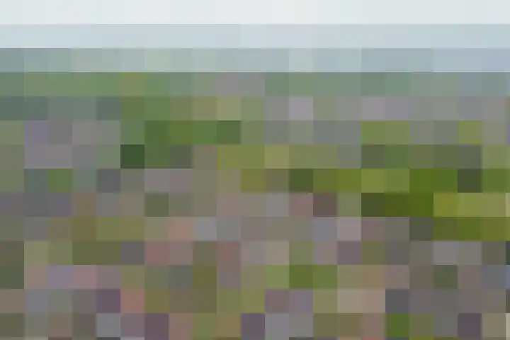 Appelgaarde 13 Rozenburg thumbnail 43