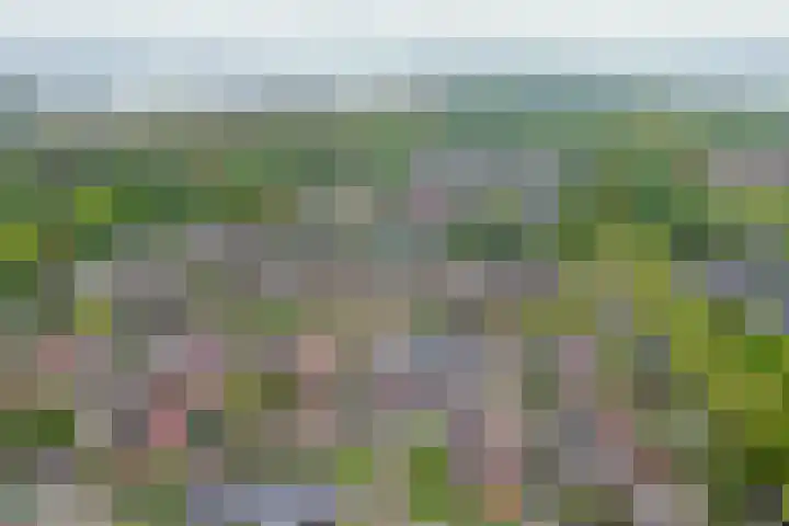 Appelgaarde 13 Rozenburg thumbnail 44