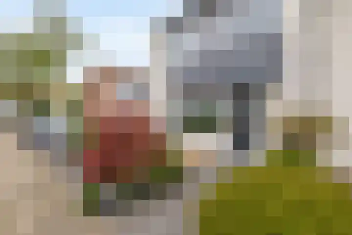 Appelgaarde 13 Rozenburg thumbnail 6