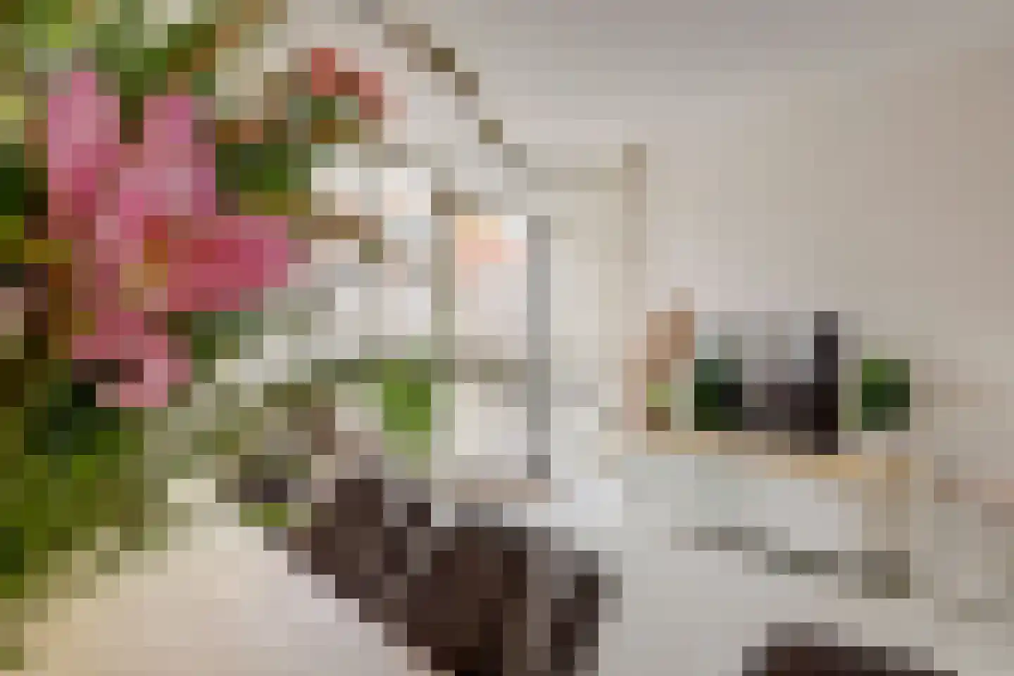 Appelgaarde 14 Hendrik-Ido-Ambacht thumbnail 14