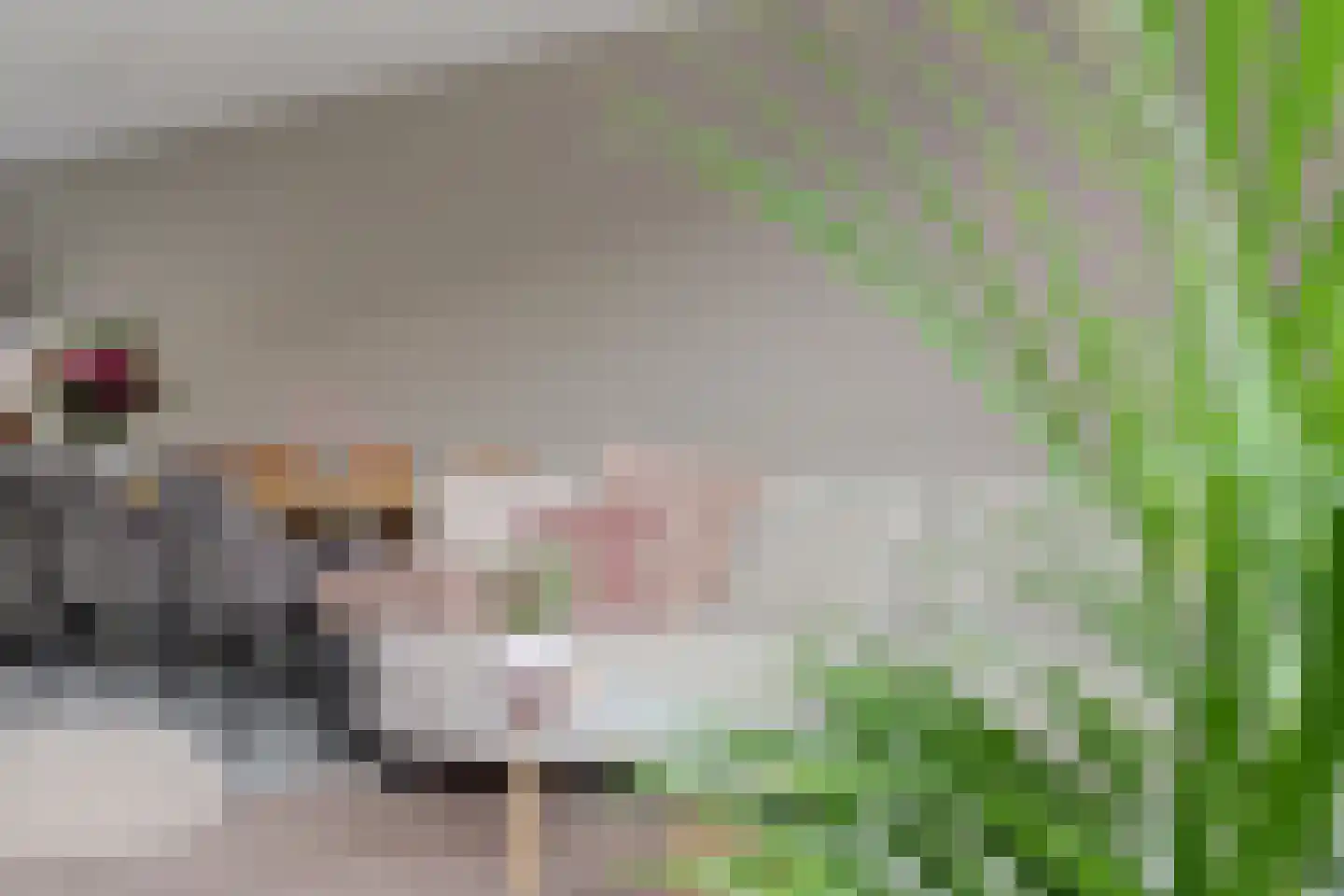 Appelgaarde 14 Hendrik-Ido-Ambacht thumbnail 16