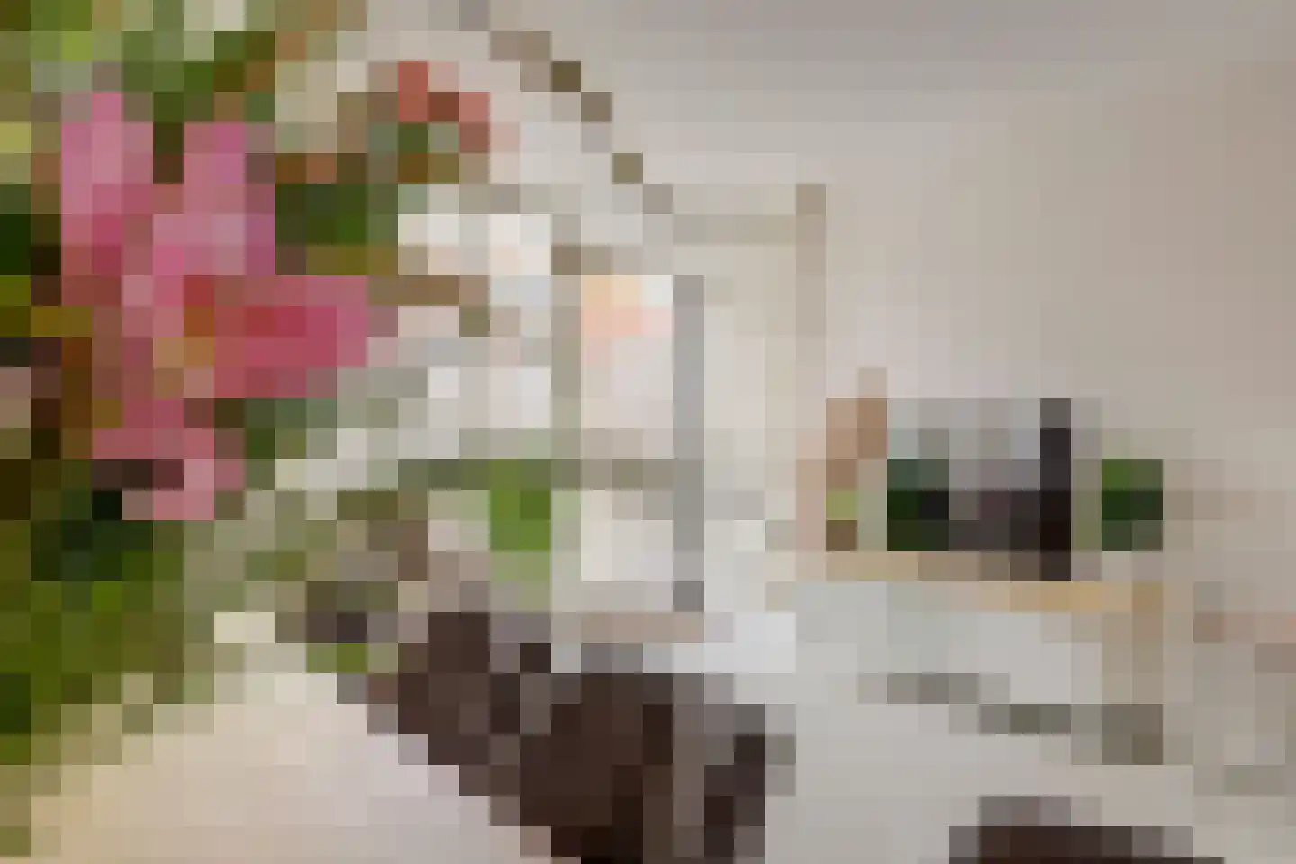 Appelgaarde 14 Hendrik-Ido-Ambacht thumbnail 5