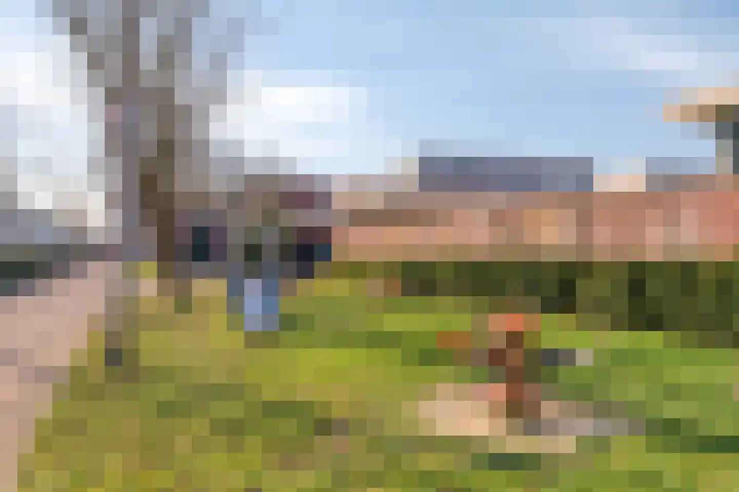 Appelgaarde 19 Hendrik-Ido-Ambacht thumbnail 31