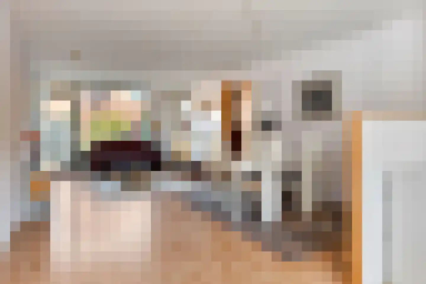 Appelgaarde 19 Hendrik-Ido-Ambacht thumbnail 6