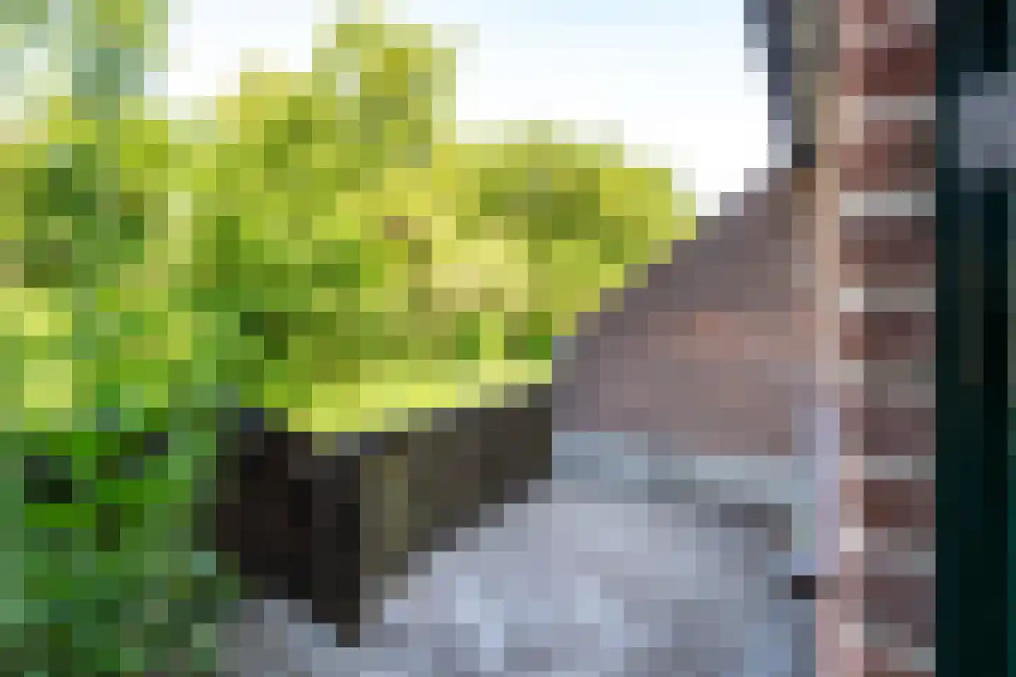 Appelgaarde 19 Houten thumbnail 10