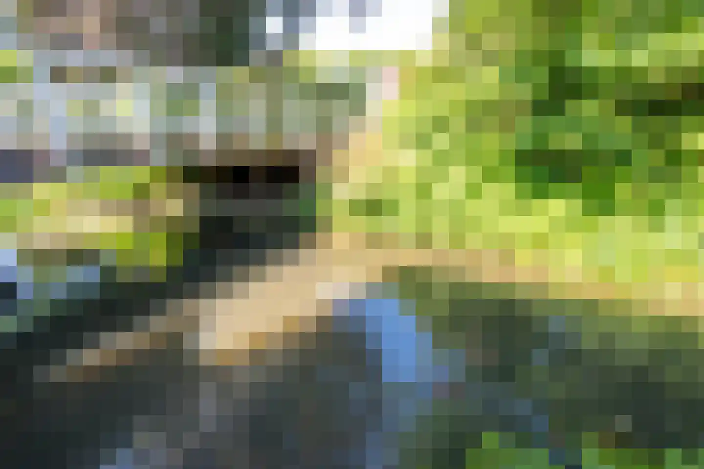 Appelgaarde 19 Houten thumbnail 12