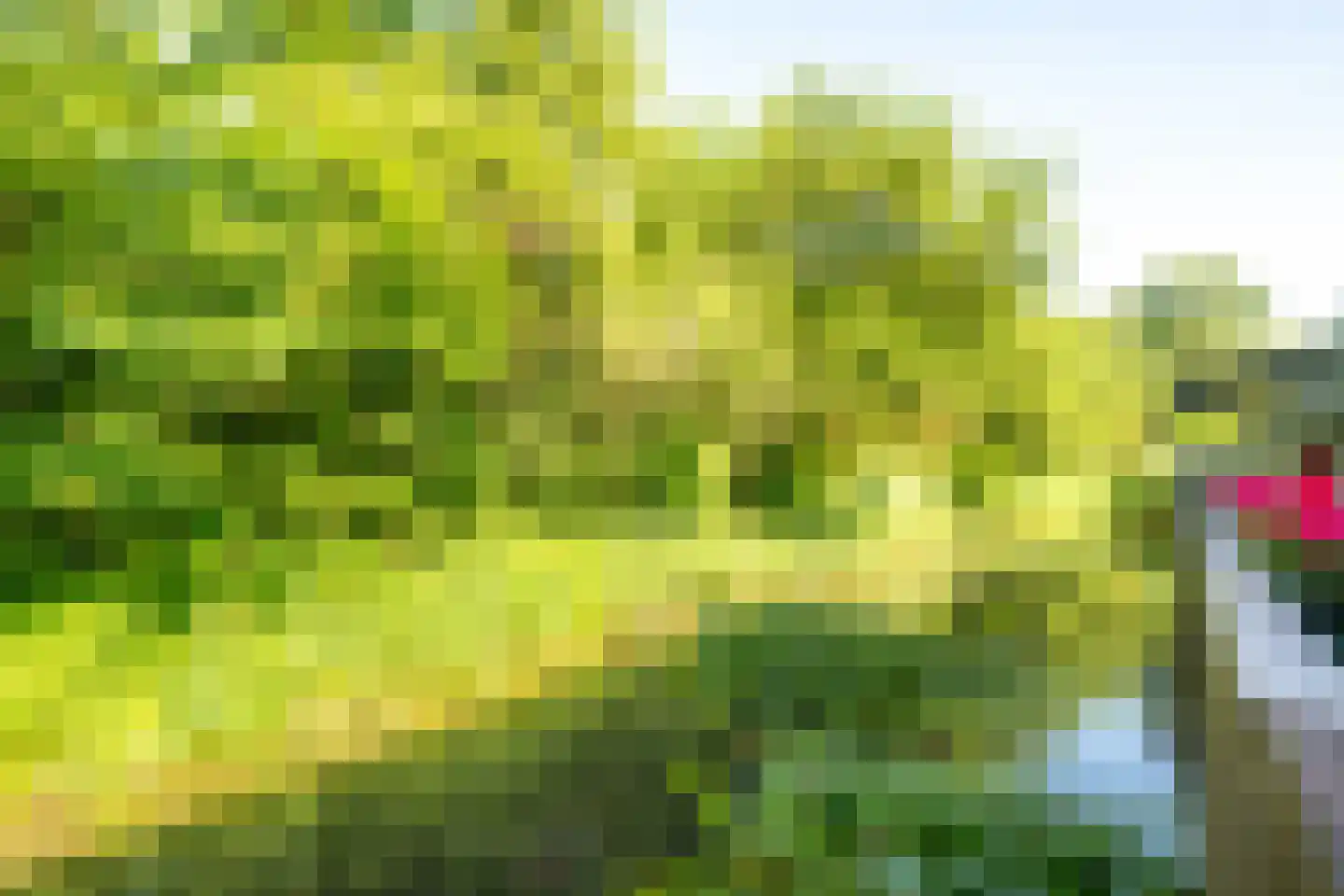 Appelgaarde 19 Houten thumbnail 13