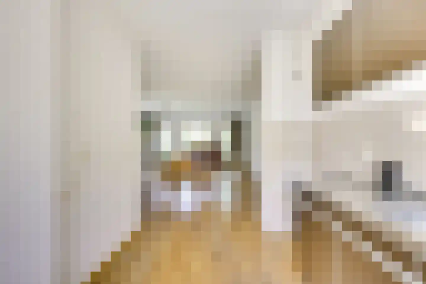 Appelgaarde 19 Houten thumbnail 16