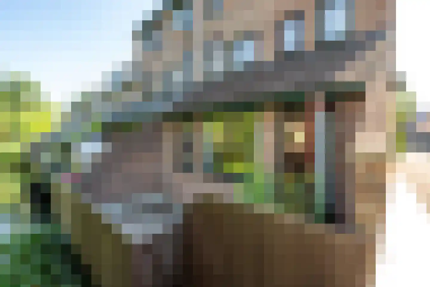Appelgaarde 19 Houten thumbnail 34