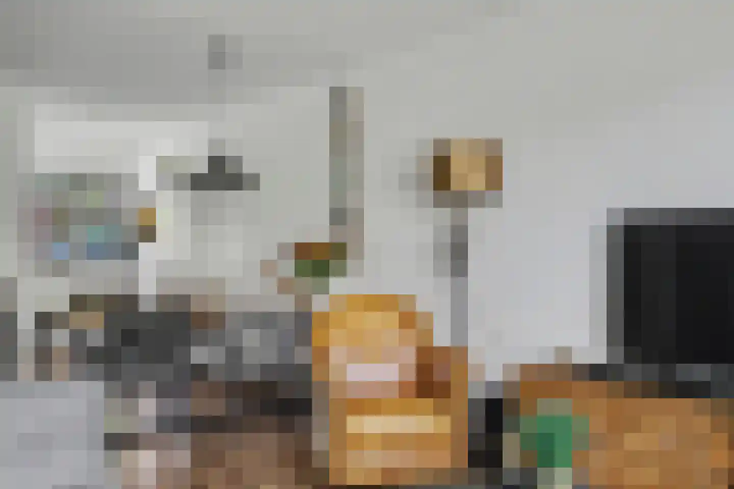 Appelgaarde 22 Hendrik-Ido-Ambacht thumbnail 10
