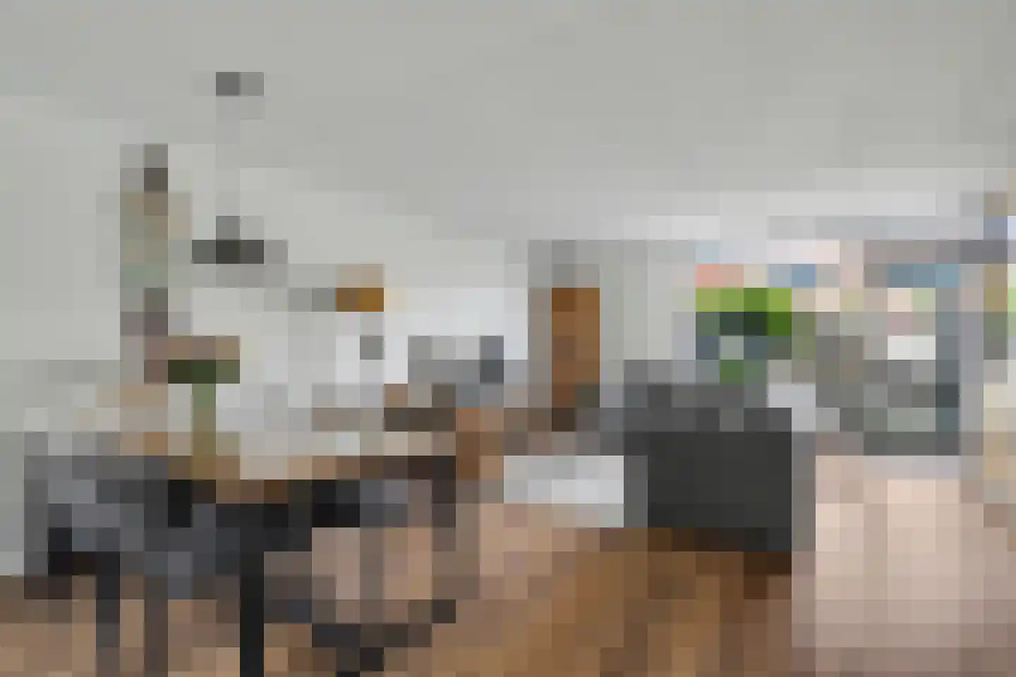 Appelgaarde 22 Hendrik-Ido-Ambacht thumbnail 12