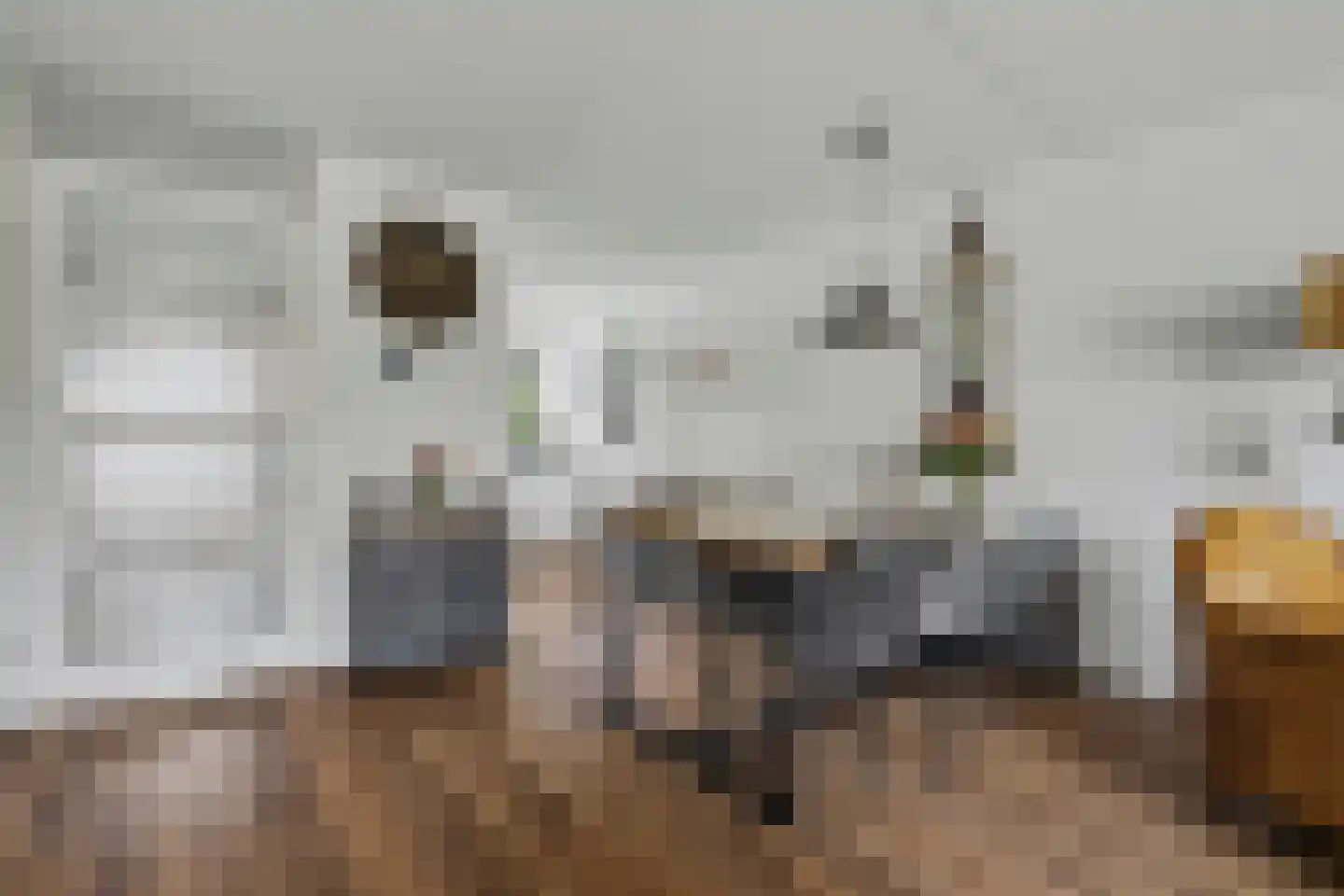 Appelgaarde 22 Hendrik-Ido-Ambacht thumbnail 13